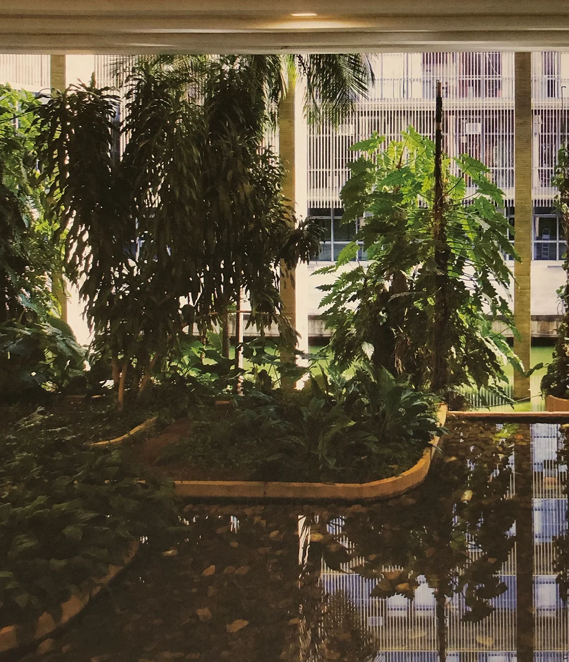 22. Roberto Burle Marx, Interior gardens, Itamaraty Palace, Ministry of Foreign Affairs, 1965, Brasília. Roberto Burle Marx - Brazilian Modernist , 2015, The Jewish Museum, New York
